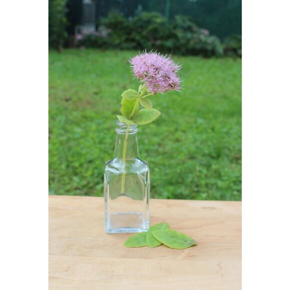 Simple Vintage Clear Glass Bottle / Flower Vase - Picture 2 of 7
